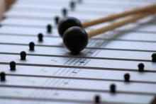 Ascending scale on the bars of a xylophone